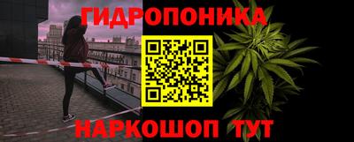 jwh Берёзовский