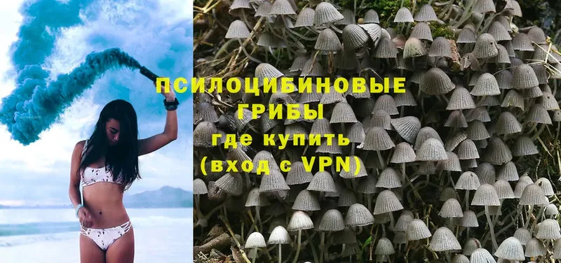 Псилоцибиновые грибы Magic Shrooms  цены наркотик  Добрянка 