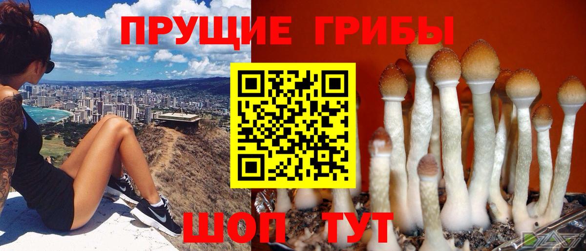 Галлюциногенные грибы ЛСД Добрянка